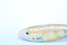 Fishy chillum