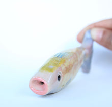 Fishy chillum